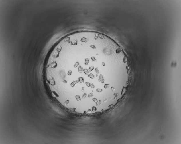 X0000101230151200807251142