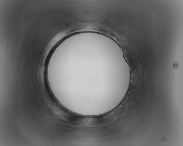 X0000101230152200807251142