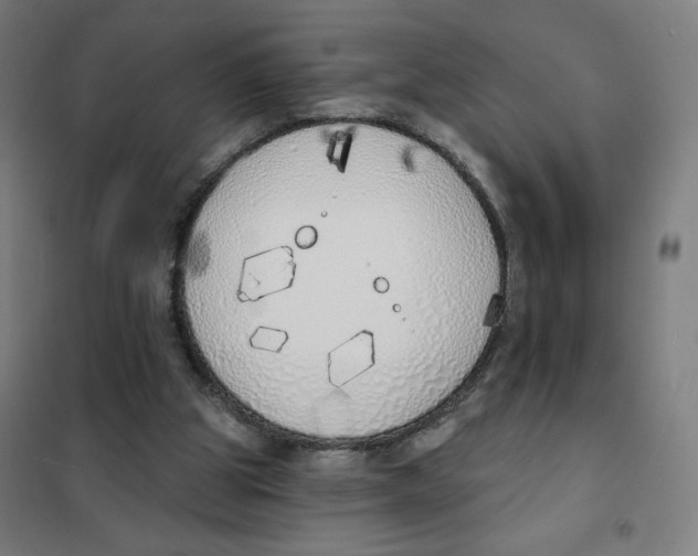 X0000101230153200807251142