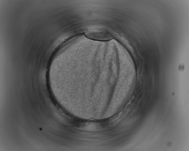 X0000101230154200807251142