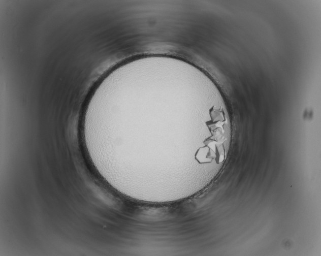 X0000101230155200807251142