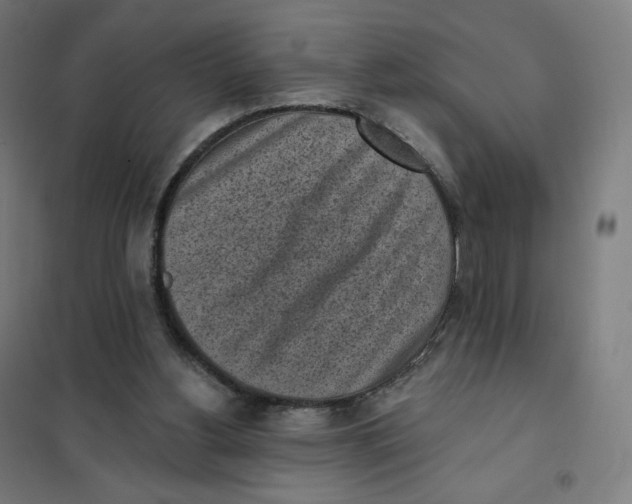 X0000101230156200807251142