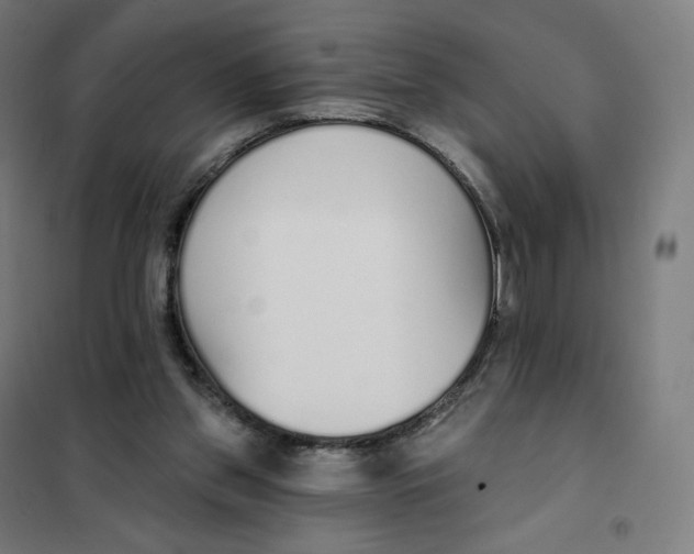 X0000101230157200807251142