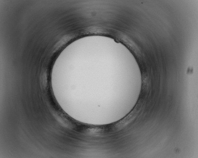 X0000101230158200807251142