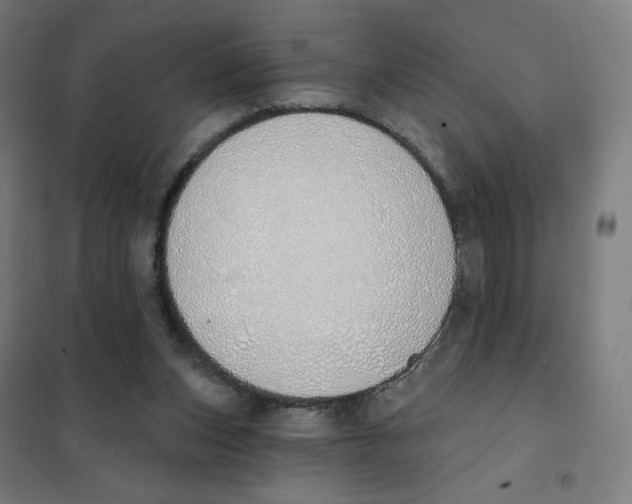 X0000101230159200807251142