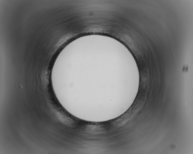 X0000101230160200807251142