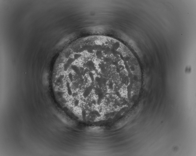 X0000101230161200807251142