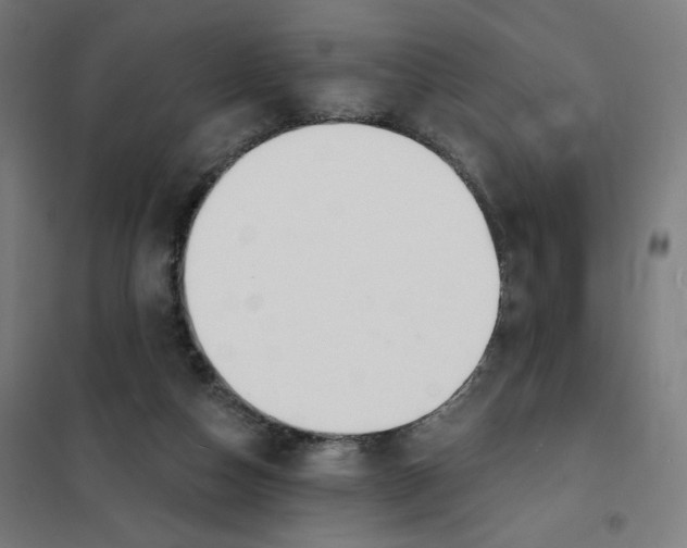 X0000101230162200807251142