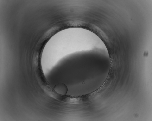 X0000101230163200807251142