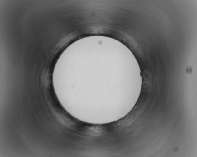X0000101230164200807251142