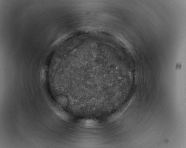 X0000101230165200807251142
