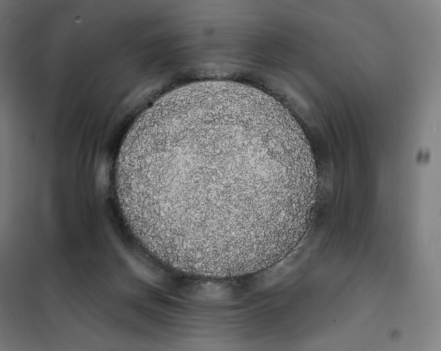 X0000101230166200807251142