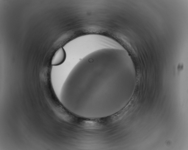 X0000101230167200807251142