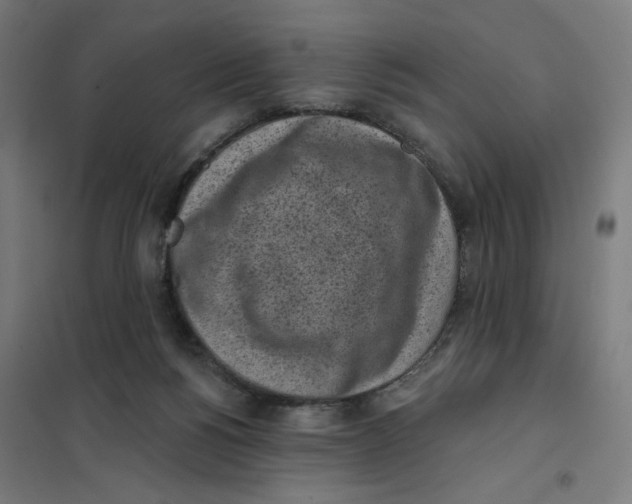 X0000101230168200807251143