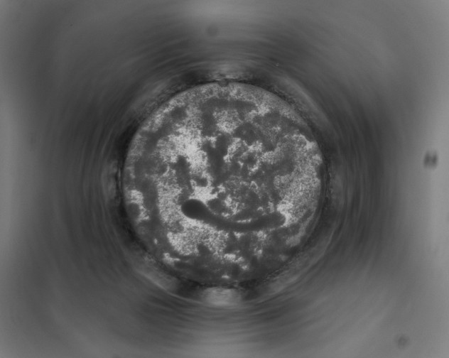 X0000101230169200807251143