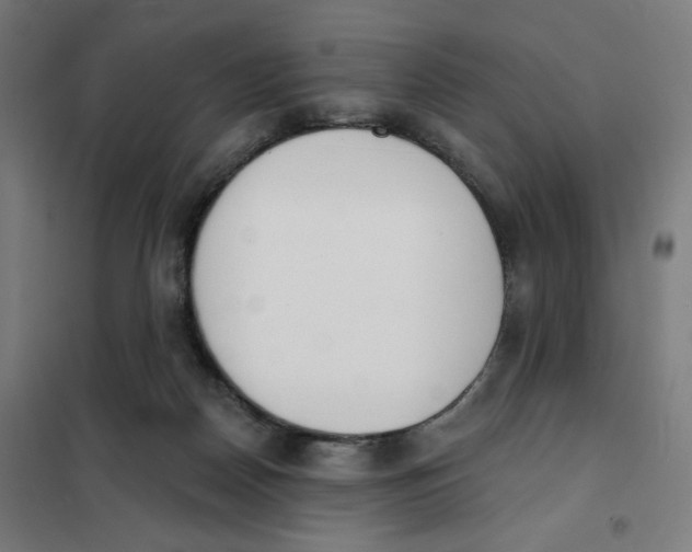 X0000101230170200807251143