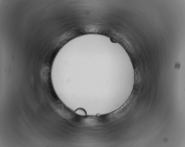 X0000101230171200807251143