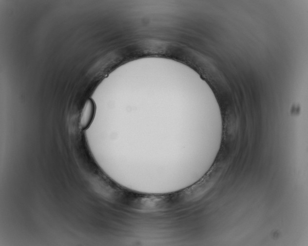 X0000101230172200807251143