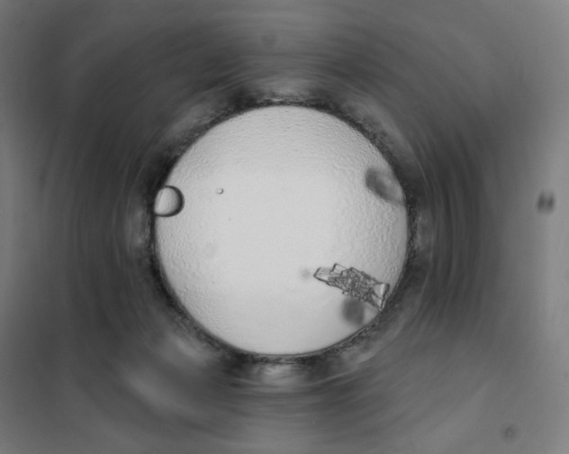 X0000101230173200807251143