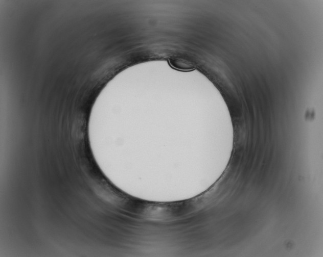 X0000101230174200807251143