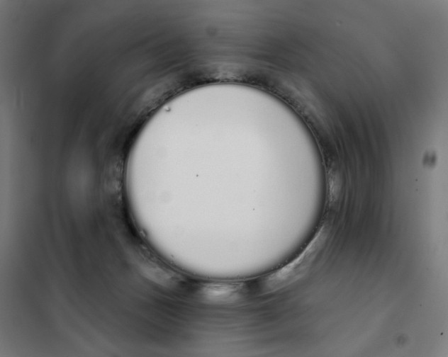 X0000101230175200807251143