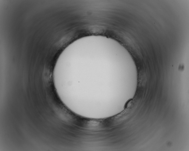X0000101230176200807251143