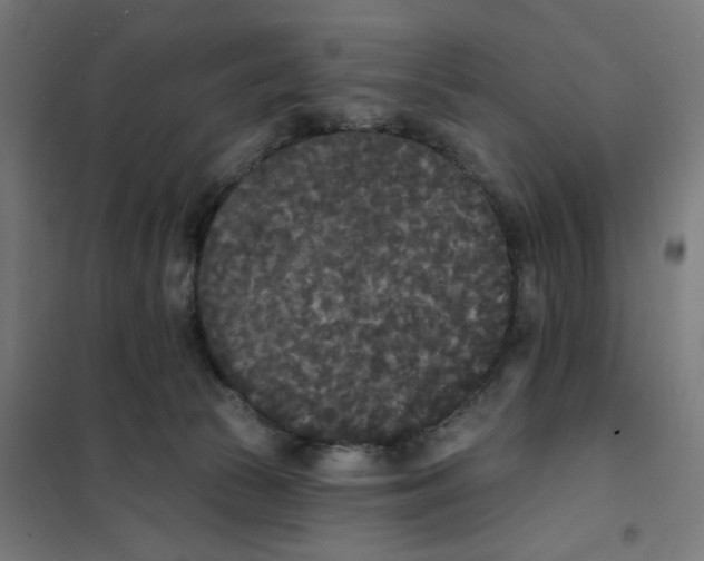 X0000101230177200807251143
