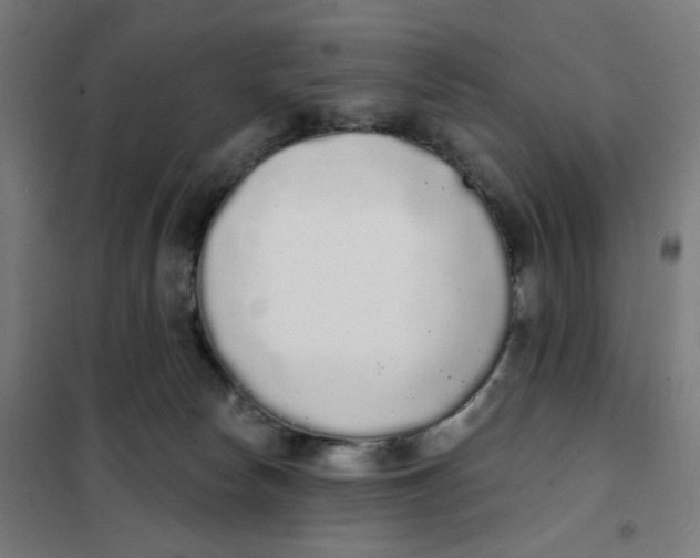 X0000101230178200807251143