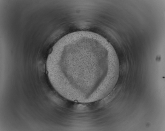 X0000101230180200807251143