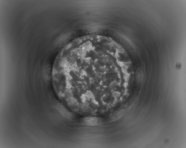 X0000101230181200807251143