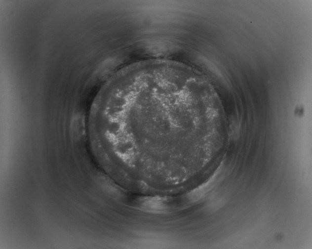 X0000101230182200807251143