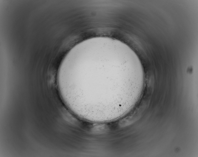 X0000101230185200807251143