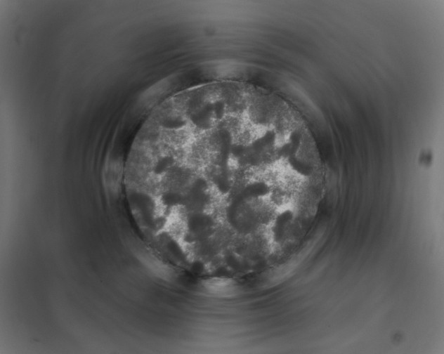 X0000101230189200807251143