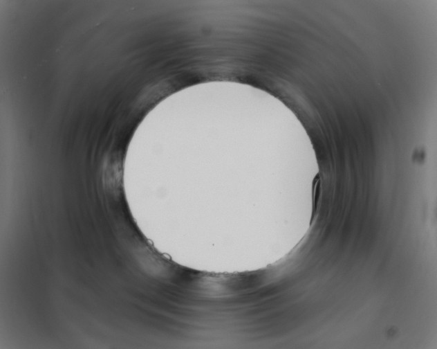 X0000101230190200807251143