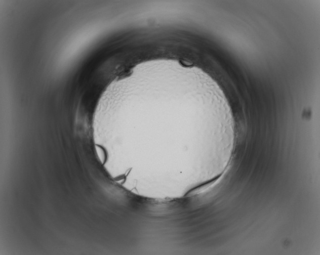 X0000101230191200807251143