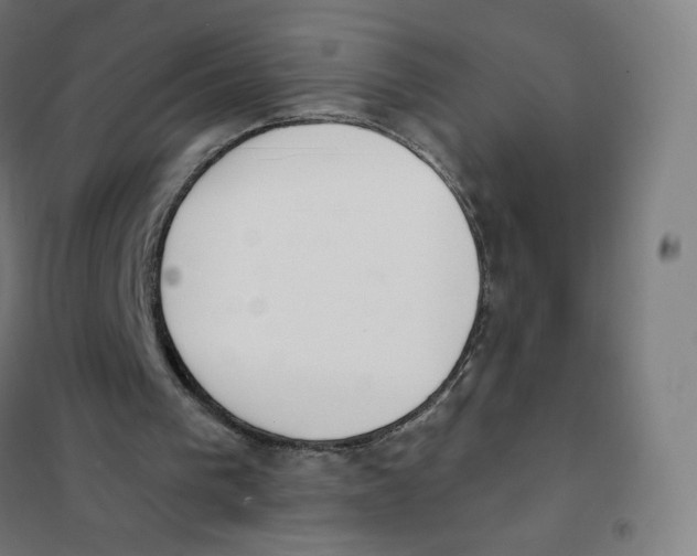 X0000101230193200807251142