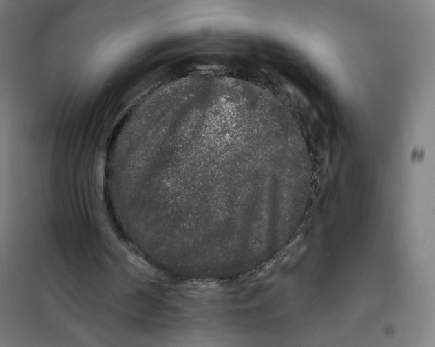 X0000101230194200807251142