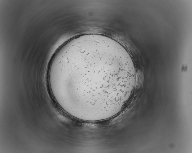 X0000101230195200807251142