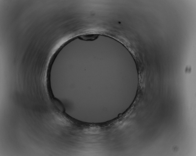 X0000101230196200807251142