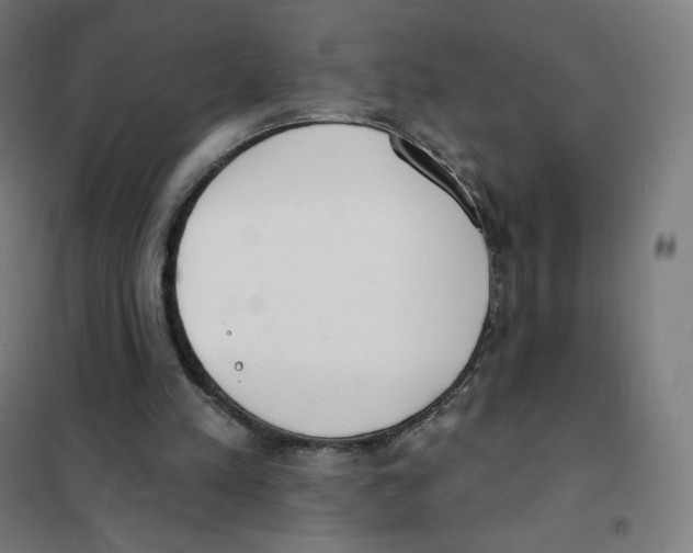 X0000101230197200807251142
