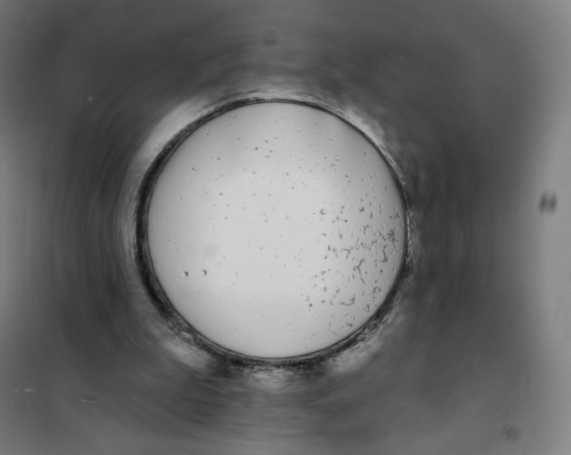 X0000101230199200807251142