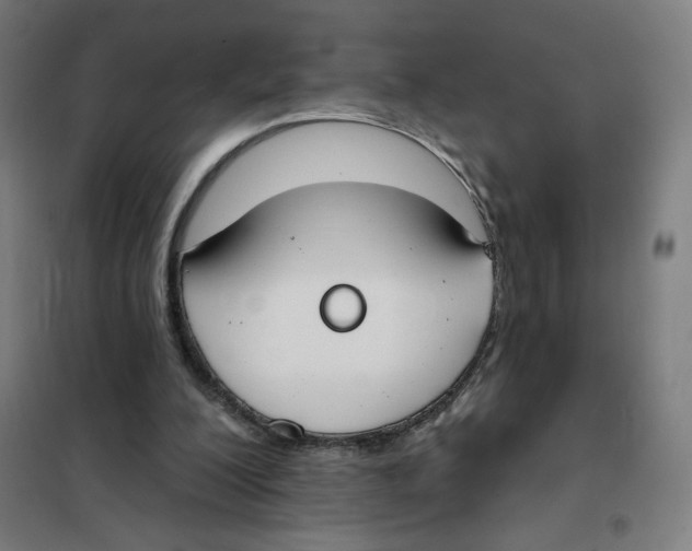 X0000101230200200807251142