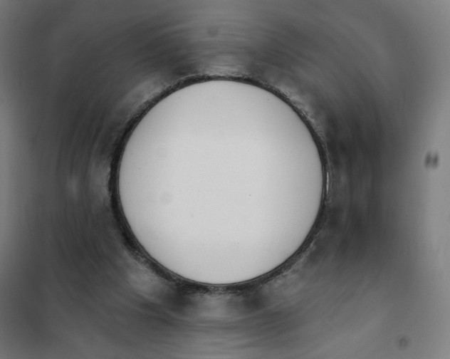 X0000101230201200807251142