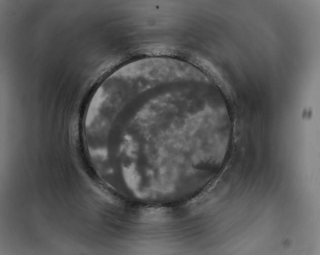 X0000101230202200807251142