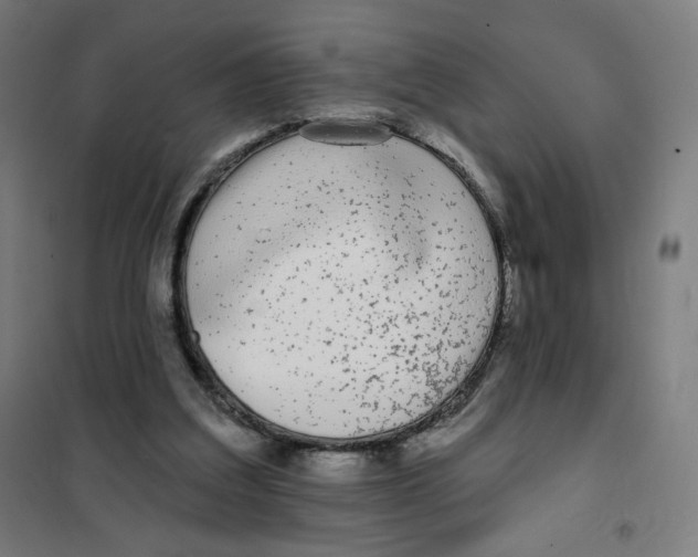X0000101230203200807251142