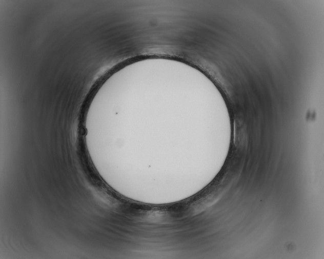 X0000101230204200807251142