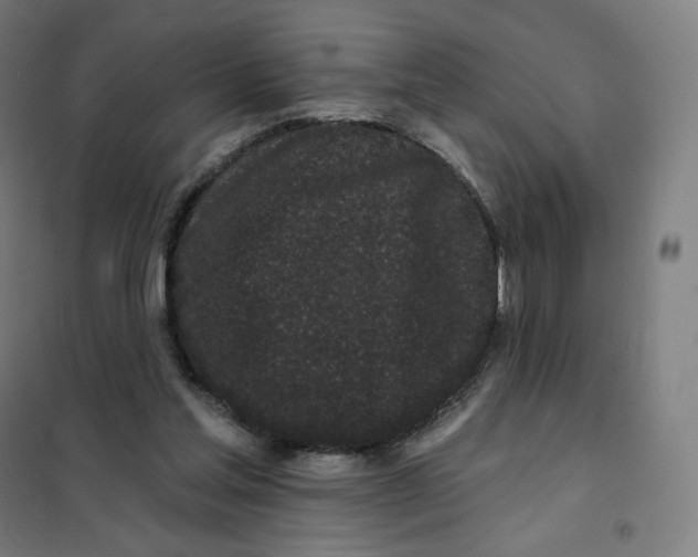 X0000101230205200807251142