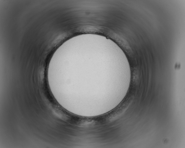 X0000101230206200807251142