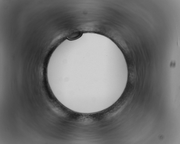 X0000101230207200807251142