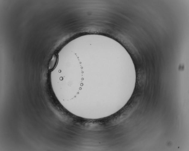 X0000101230208200807251142